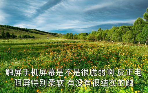 賽米控和康寧炒菜機(jī)哪個(gè)好，德國(guó)賽米控 家用炒菜機(jī)質(zhì)量咋樣口碑好嗎求
