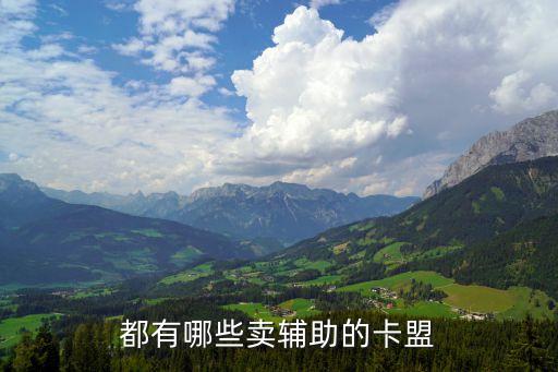 和平精英游戲輔助專賣卡盟，海魂卡盟手機zuan空間業(yè)務(wù)騰訊Q號 游戲道具淘寶業(yè)務(wù)各