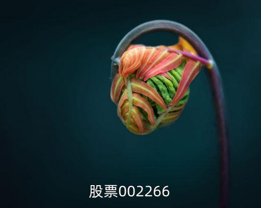 北京科華股票，股票002266