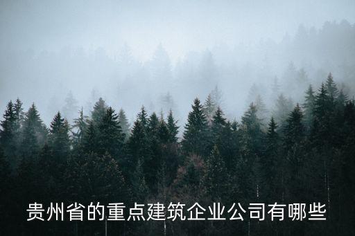 貴州省的重點(diǎn)建筑企業(yè)公司有哪些