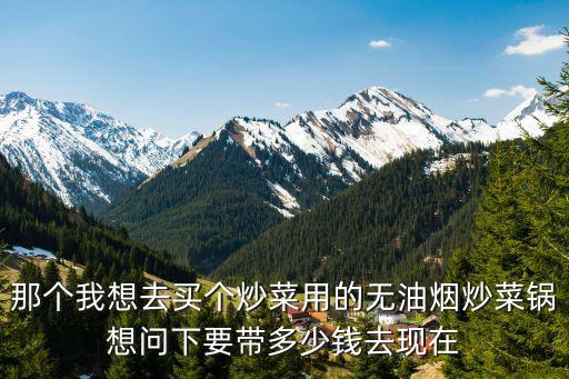 那個我想去買個炒菜用的無油煙炒菜鍋想問下要帶多少錢去現(xiàn)在