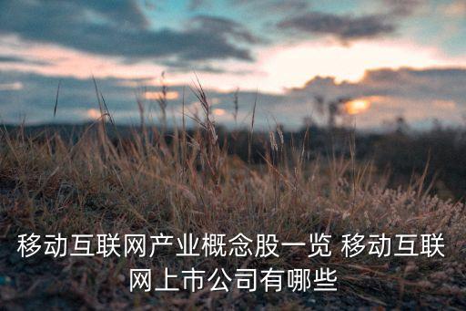 主線科技上市，我們公司魔線科技最近在美國納斯達克上市了很好奇在納斯達克上市