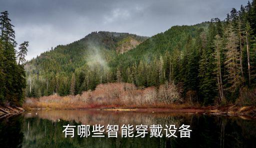 最新智能醫(yī)療穿戴設備有哪些，目前智能穿戴設備有哪些