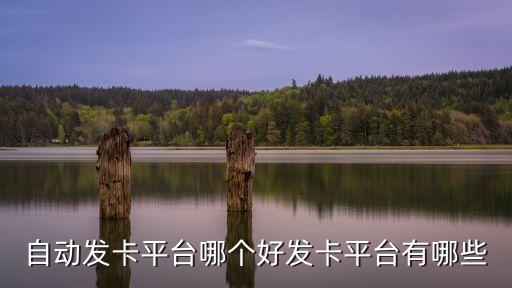 自動(dòng)發(fā)卡平臺(tái)哪個(gè)好發(fā)卡平臺(tái)有哪些