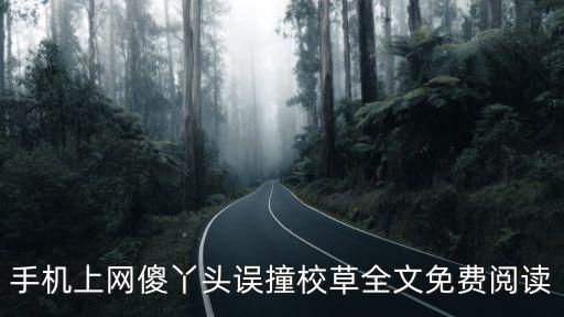 手機(jī)上網(wǎng)傻丫頭誤撞校草全文免費(fèi)閱讀