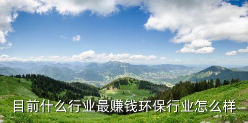 環(huán)保行業(yè)最賺錢的是哪個項(xiàng)目，目前什么行業(yè)最賺錢環(huán)保行業(yè)怎么樣