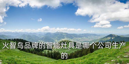 火智鳥品牌的智能灶具是哪個(gè)公司生產(chǎn)的