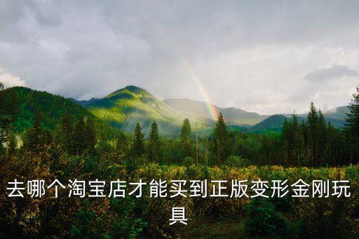 變形金剛玩具官方旗艦店，去哪個(gè)淘寶店才能買(mǎi)到正版變形金剛玩具