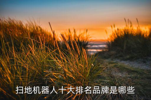 掃地機器人十大排名品牌是哪些