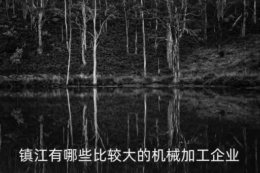大型機械加工企業(yè)，在機械設(shè)計制造方面有什么比較好的大型企業(yè)
