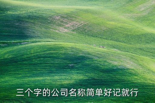 三個(gè)字的公司名稱簡(jiǎn)單好記就行