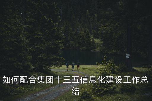 如何配合集團十三五信息化建設(shè)工作總結(jié)