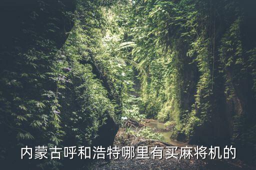 最新科技麻將機(jī)，現(xiàn)在麻將有什么高科技出老千設(shè)備嗎