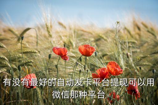 有沒有最好的自動(dòng)發(fā)卡平臺(tái)提現(xiàn)可以用微信那種平臺(tái)