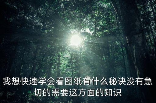 我想快速學(xué)會(huì)看圖紙有什么秘訣沒有急切的需要這方面的知識(shí)