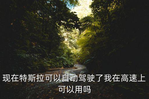 現(xiàn)在特斯拉可以自動(dòng)駕駛了我在高速上可以用嗎