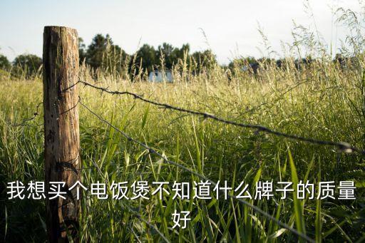 我想買個電飯煲不知道什么牌子的質(zhì)量好
