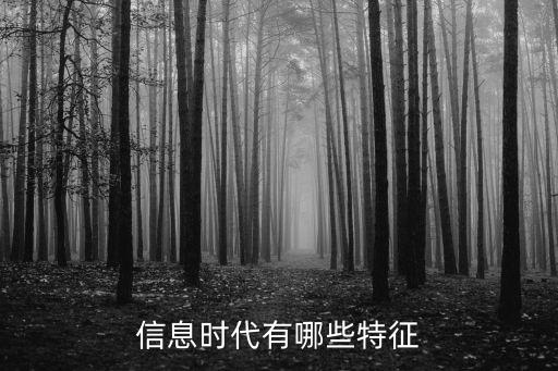 信息時(shí)代有哪些特征