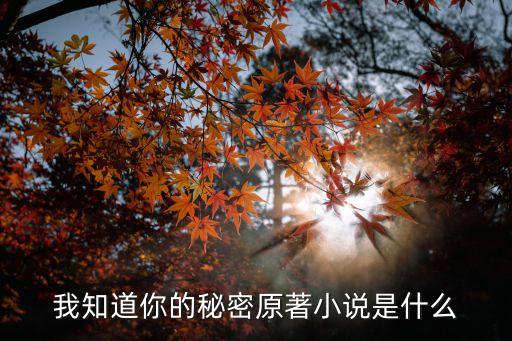 我知道你的秘密原著小說是什么