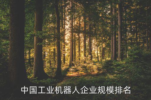 中國工業(yè)機器人企業(yè)規(guī)模排名