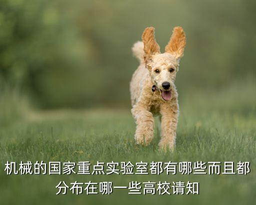 機(jī)械的國家重點(diǎn)實(shí)驗(yàn)室都有哪些而且都分布在哪一些高校請知
