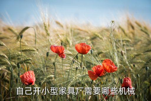 自己開小型家具廠需要哪些機械