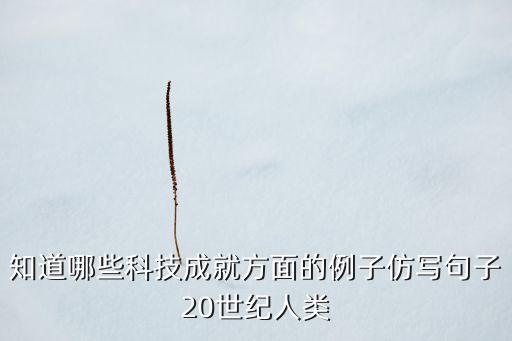 知道哪些科技成就方面的例子仿寫句子20世紀(jì)人類