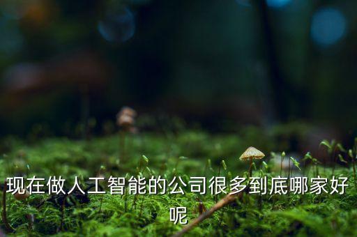 人工智能那家公司最好，現(xiàn)在做人工智能的公司很多到底哪家好呢