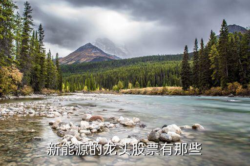 新能源的龍頭股票有那些