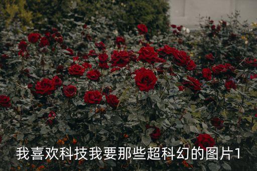 我喜歡科技我要那些超科幻的圖片1