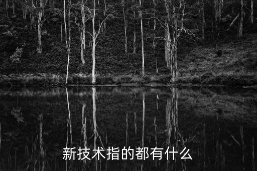 新技術(shù)指的都有什么