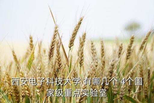 西安電子科技大學 有哪幾個 4個國家級重點實驗室