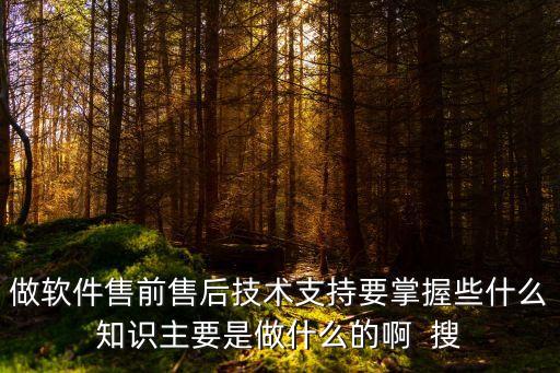 做軟件售前售后技術(shù)支持要掌握些什么知識主要是做什么的啊  搜