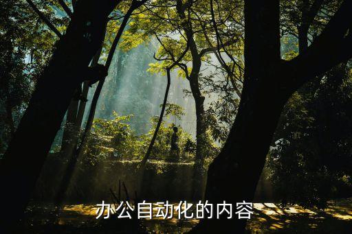 辦公自動化的內(nèi)容