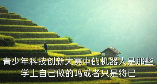 青少年科創(chuàng)大賽 課題是自己想嗎，青少年科技創(chuàng)新大賽中的機(jī)器人是那些學(xué)上自己做的嗎或者只是將已