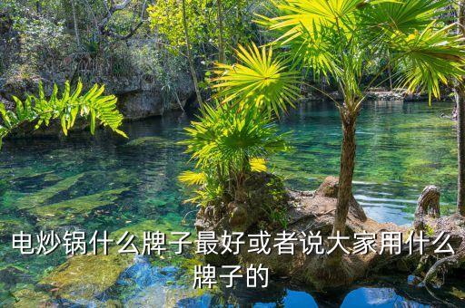 電炒鍋什么牌子最好或者說大家用什么牌子的