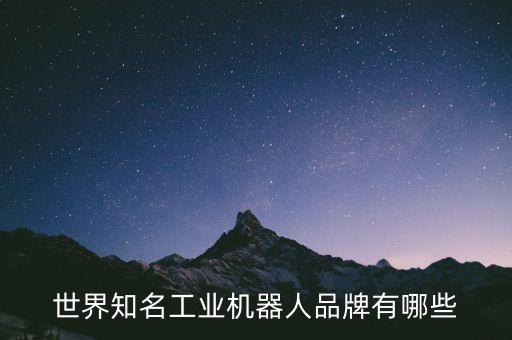 工業(yè)機(jī)器人 排名，中國(guó)工業(yè)機(jī)器人企業(yè)規(guī)模排名