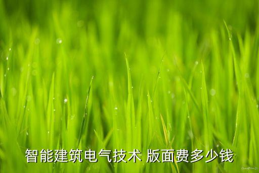 智能建筑電氣技術(shù) 版面費多少錢