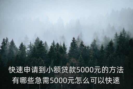 小額貸款5000急用，快速申請(qǐng)到小額貸款5000元的方法有哪些急需5000元怎么可以快速