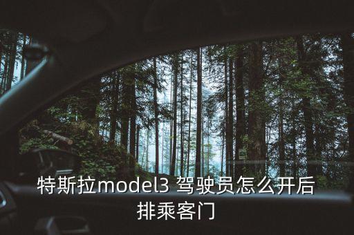 特斯拉model3 駕駛員怎么開后排乘客門