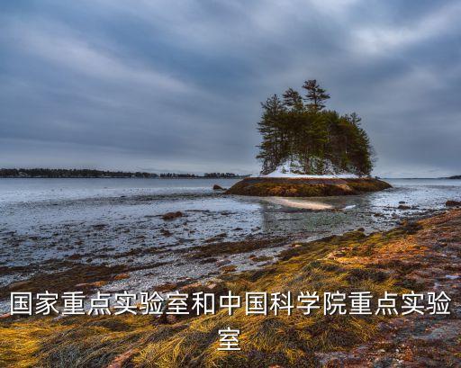 國家重點實驗室和中國科學院重點實驗室
