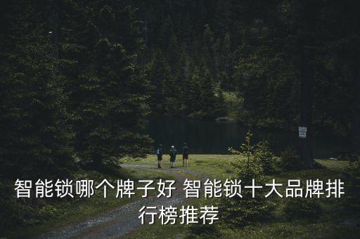 曉言智能門(mén)鎖，智能門(mén)鎖哪個(gè)牌子防盜性好