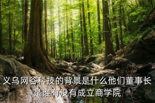 義烏網(wǎng)谷科技的背景是什么他們董事長是誰有沒有成立商學(xué)院
