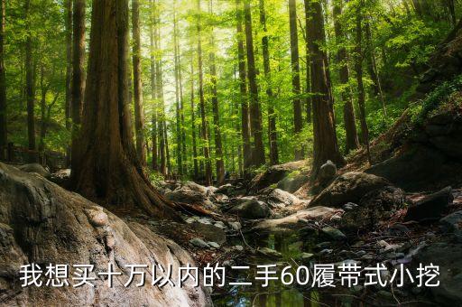 我想買十萬以內(nèi)的二手60履帶式小挖
