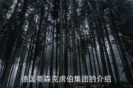 超級工業(yè)巨頭，德國居世界領(lǐng)先地位的三大工業(yè)是什么