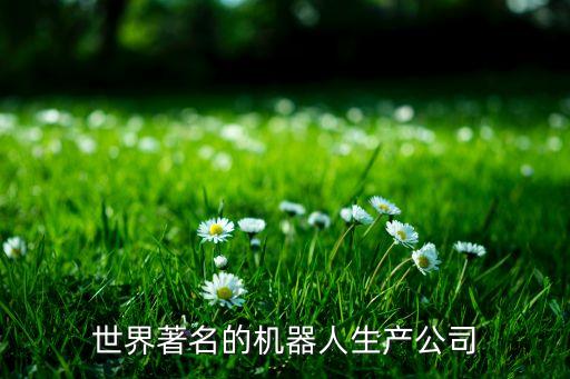 全球十大智能機器人公司，最近重溫了機械公敵忽然想了解一下在機器人的市場有哪些比較