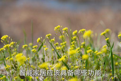 智能家居都有哪些功能，智能家居應(yīng)該具備哪些功能