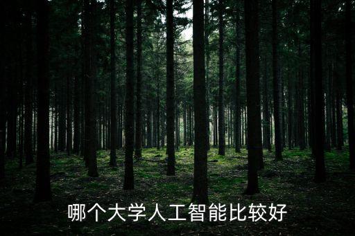 哪個大學(xué)人工智能比較好