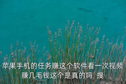 蘋果手機的任務賺這個軟件看一次視頻賺幾毛錢這個是真的嗎  搜