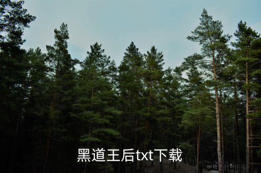 黑道王后txt下載